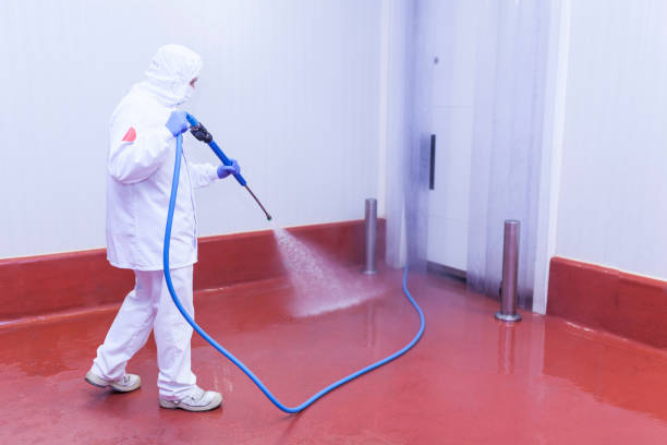 Best Boat and Dock Cleaning  in Palm Beach, FL