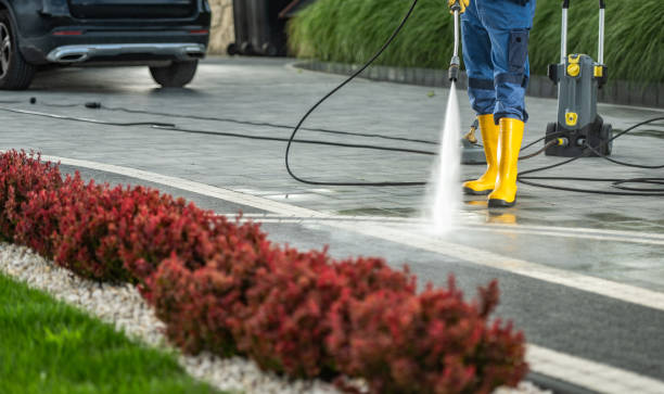 Best Fence Cleaning  in Palm Beach, FL